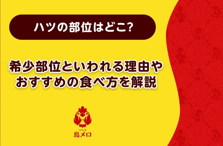 ハツの部位はどこ？希少部位といわれる理由やおすすめの食べ方を解説